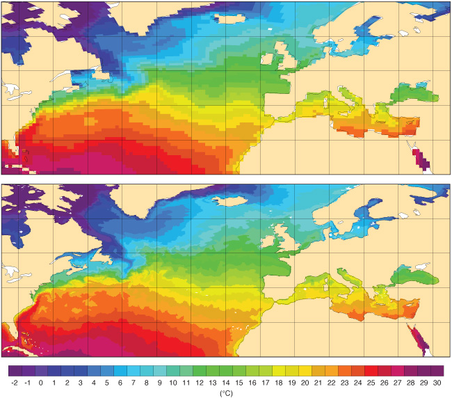 Sea-surface temperature charts IFS Cycles 41r2 and 43r1